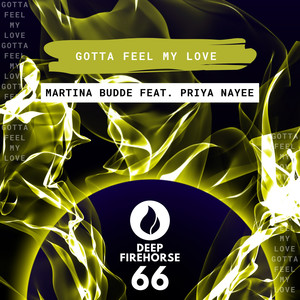 Gotta Feel My Love (Original Mix)