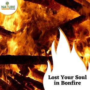 Lost Your Soul in Bonfire