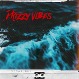 Drizzy Vibes (feat. Deadheart3.6) (Explicit)