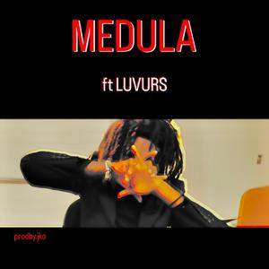 Medula (feat. Luvurs) [Explicit]