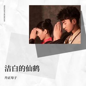 洁白的仙鹤