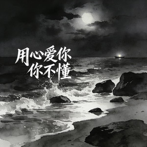 用心爱你你不懂 (重制版)