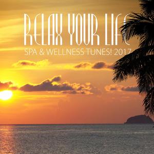 Relax Your Life: Spa & Wellness Tunes! 2017