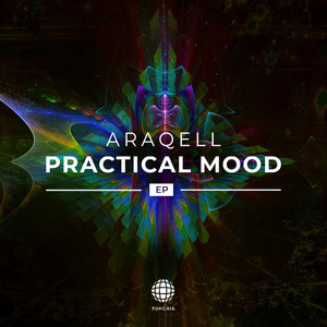 Practical Mood (Original Mix)