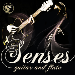 Senses (吉他和长笛)