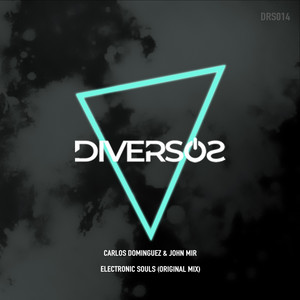 Electronic Souls