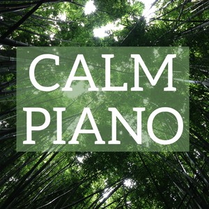 Kinderszenen, Op. 15: No. 7, Träumerei