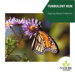 Turbulent Run - Inspiring Nature Collection