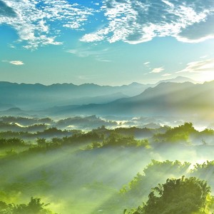 静谧时光封面