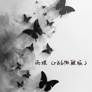 雨蝶 (r&b微醺版)封面