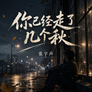 你已经走了几个秋 (眼泪不知不觉还是会流)