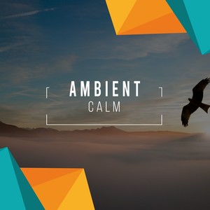 #Ambient Calm