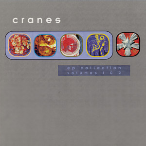 Cranes - Give