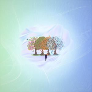 come back home this season