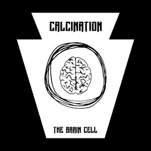 Calcination (Explicit)