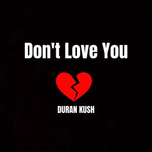 Don't Love You