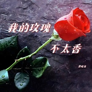 我的玫瑰不太香