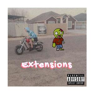 Extensions (Explicit)