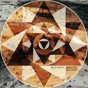 Wild Coyote (Original Mix)