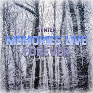 Memories Live Forever (Too Much) [Explicit]