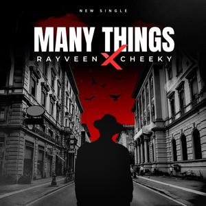 Many Things (feat. Cheeky)