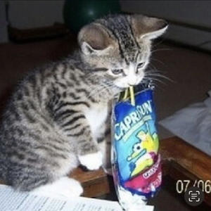 haller at me (Explicit)