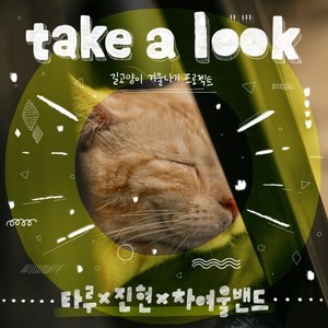 안줍냥 (不捡吗)