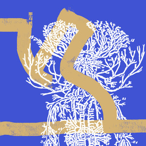 Cara ou Coroa (Explicit)