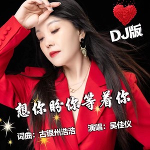 想你盼你等着你 (女声广场舞版)