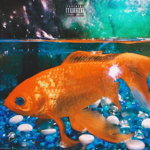 $horefront $lang (Explicit)