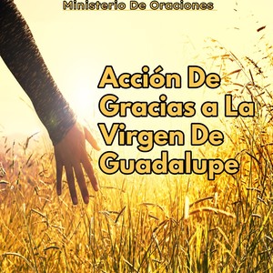 Acción de Gracias a la Virgen de Guadalupe