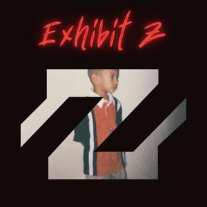 Exhibit Z (Explicit)