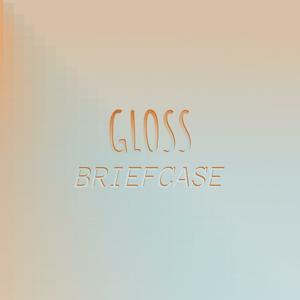 Gloss Briefcase