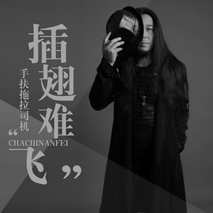 插翅难飞