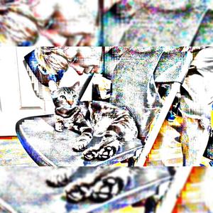 The Kats Gold Tooth (Best Friend makes That Call Show Up Dont Fuck Around At All Mix)