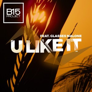 U Like It (Explicit)