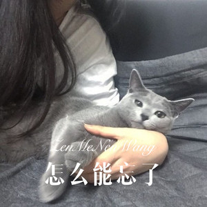 月半湾 (Remix)