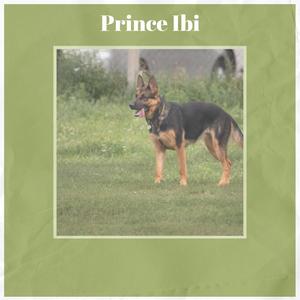 Prince Ibi