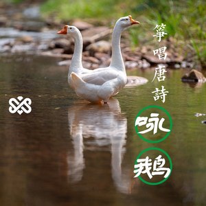 筝唱咏鹅伴奏 (伴奏)