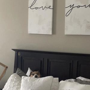 I hate this, move on (Explicit)