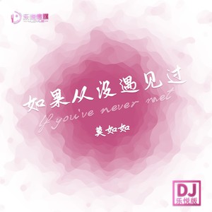 如果从没遇见过 (DJ乐悦版伴奏)