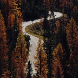 我试着翻找回忆