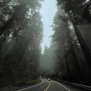 i told my ceiling about you(feat. alex naranjo) (Explicit)