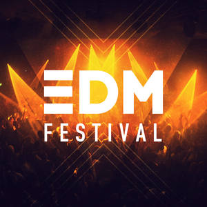 EDM Festival