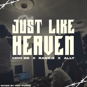 Just Like Heaven (Explicit)