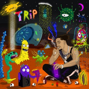 Trip