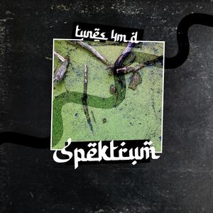 tunes 4m d Spektrum (Explicit)