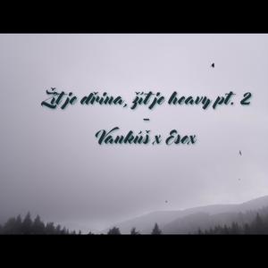 Žít je dřina, žít je heavy pt. 2 (feat. Vankúš) (Explicit)