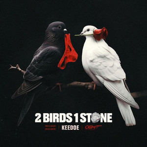 2 Birds 1 Stone (Explicit)