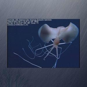 Breakdowns(feat. KJZ)